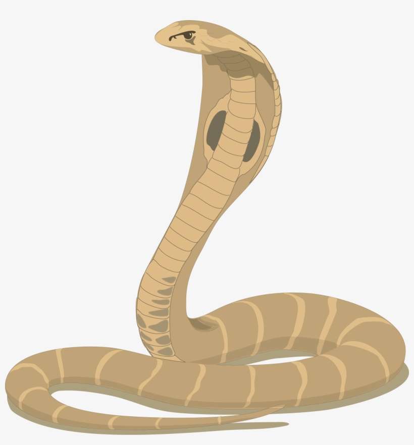 Indian King Cobra Clipart - Happy Nagula Panchami 2018, transparent png download