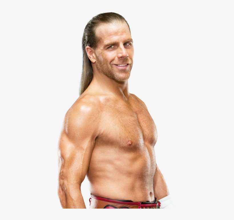Shawn Michaels Pro - Shawn Michaels, transparent png download