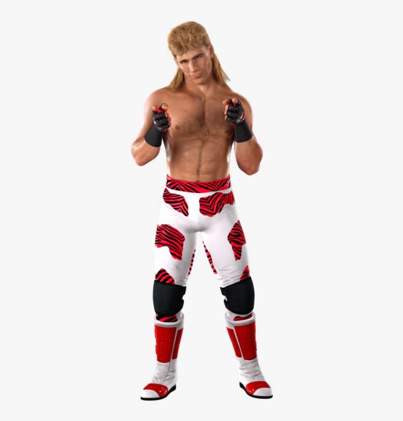 Shawn Michaels Rings Sports Png Png Images - Shawn Michaels Svr 2011, transparent png download