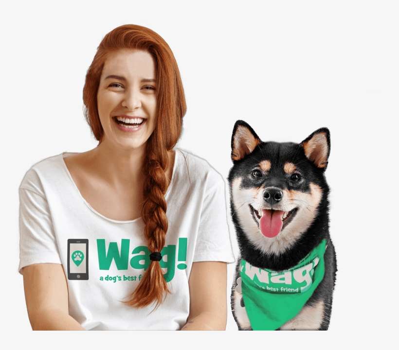 How Much Is Wag Dog Sitting