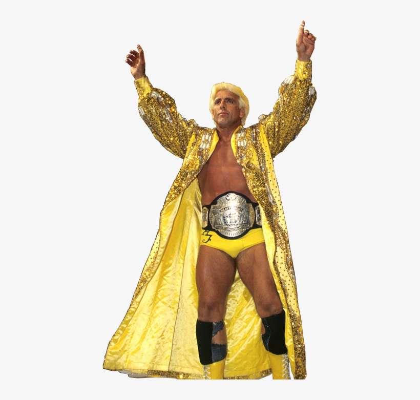 Ric Flair - Wcw Champion Ric Flair, transparent png download