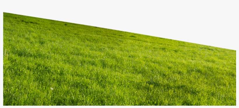 Scroll Down - Grassland, transparent png download