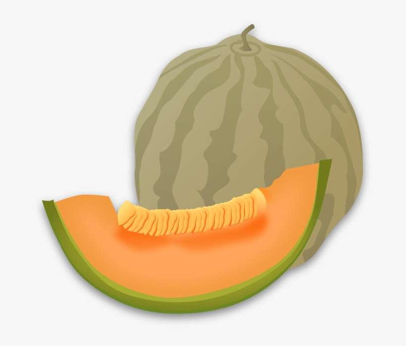 Free Vector Musk Melon - Clipart Melon, transparent png download