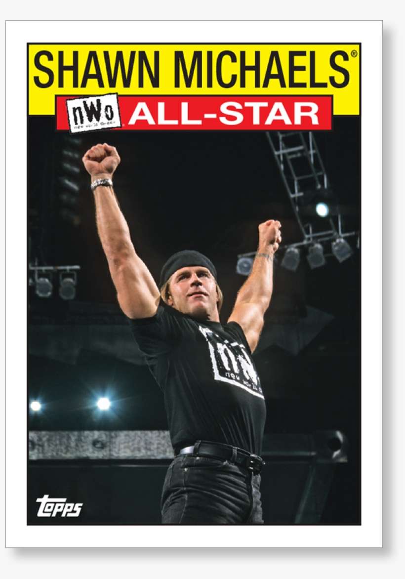 Shawn Michaels, transparent png download