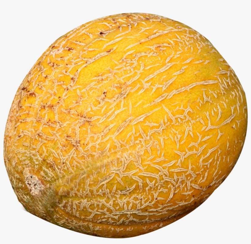 Cantaloupe Melon Png Image - Cantaloupe, transparent png download