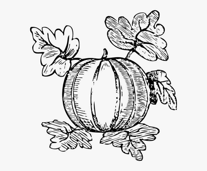 Free Vector Melon Clip Art - Pumpkin Clip Art Free, transparent png download