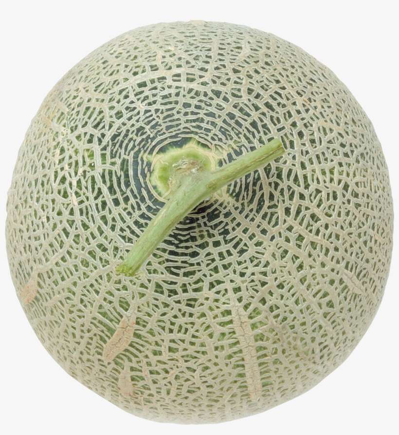 Download - Muskmelon, transparent png download