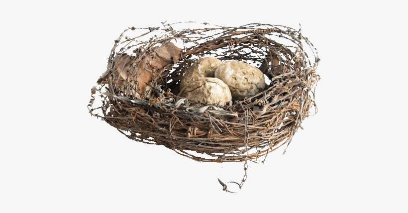 Big Barb Wire Nests - Nest, transparent png download