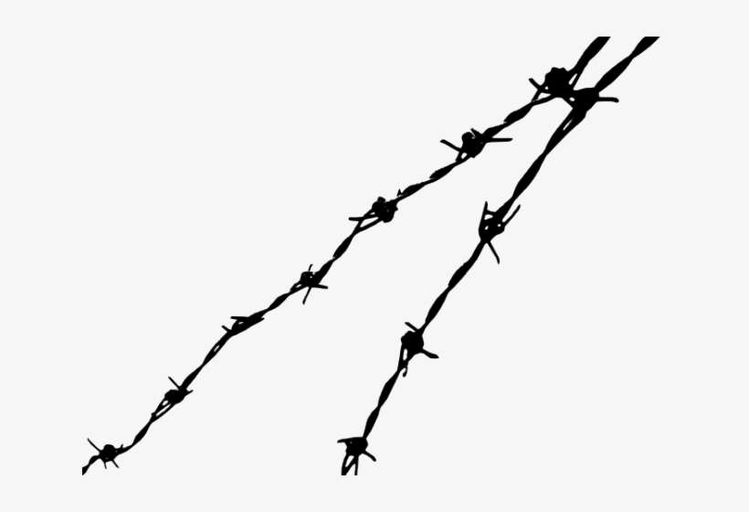 Barb Wire Clipart Transparent Background - Basic Human Rights: A New Narrative, transparent png download