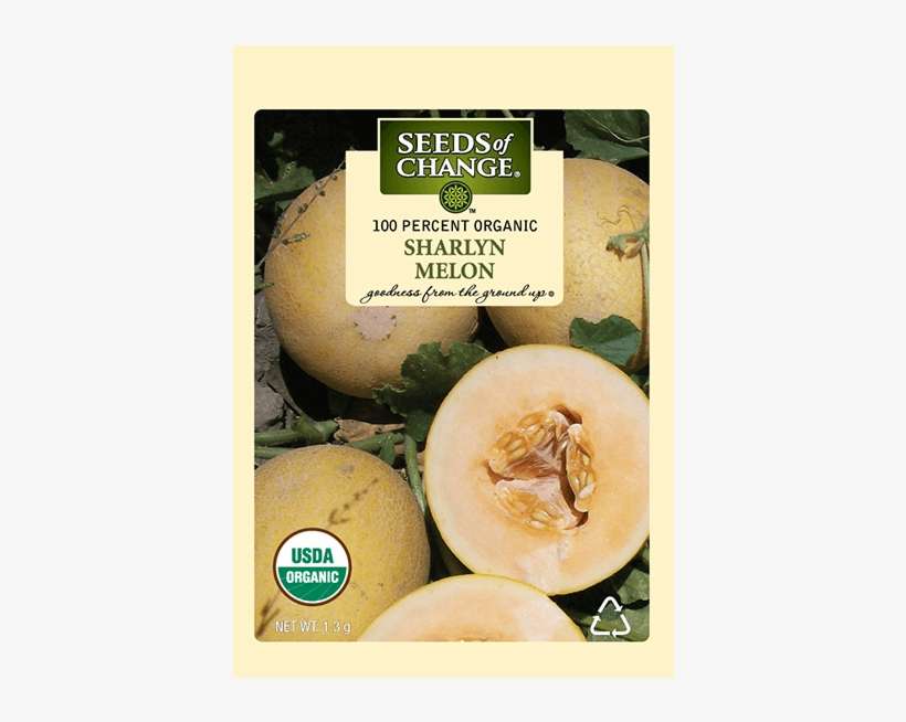 Organic Sharlyn Melon Seeds - Seeds Of Change, transparent png download