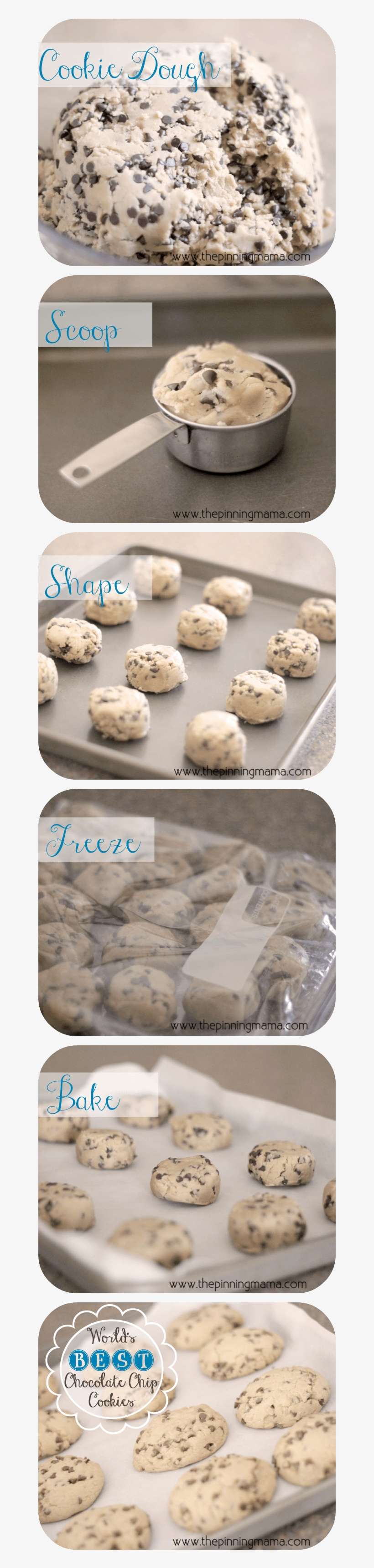 {copycat} Panera Chewy Chocolate Chip Cookies By Www - Cup, transparent png download