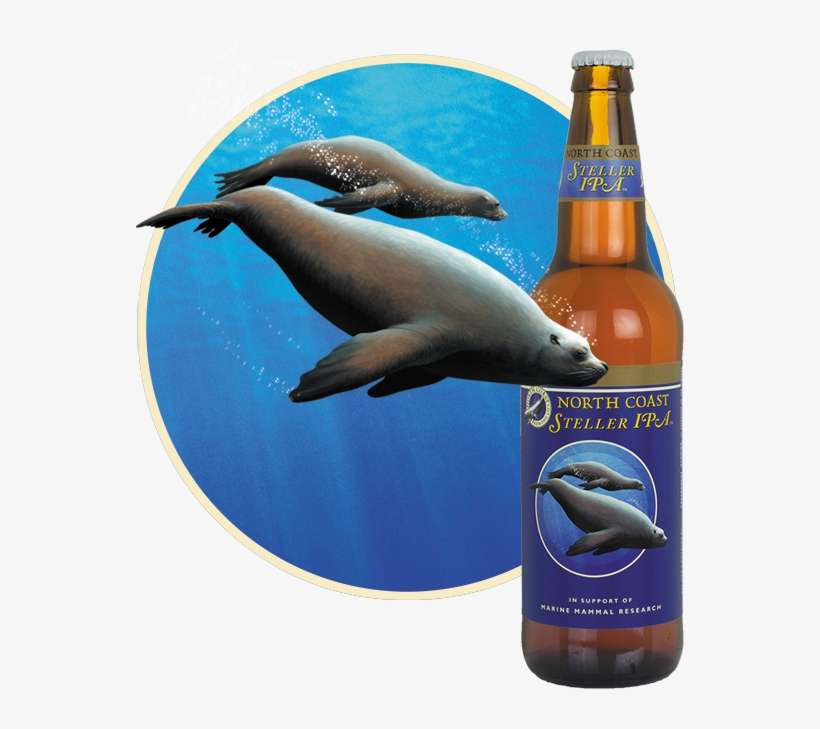 Steller Bottle Sea Lions - North Coast Brewing Scrimshaw Ipa, transparent png download