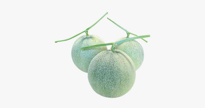 Melon - Cantaloupe, transparent png download