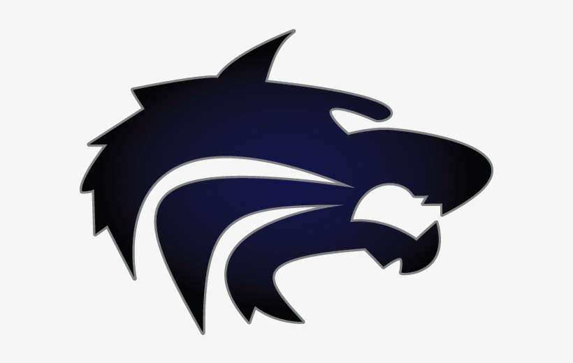 Lake City - Lake City High School Timberwolves, transparent png download