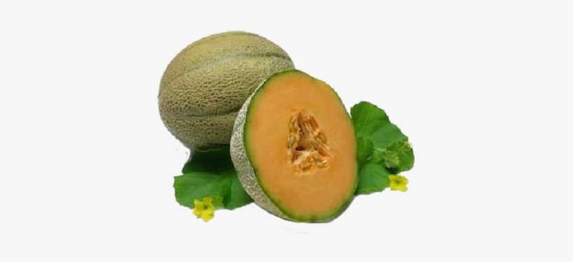 Cantaloupe Ort - Muskmelon Images Hd, transparent png download