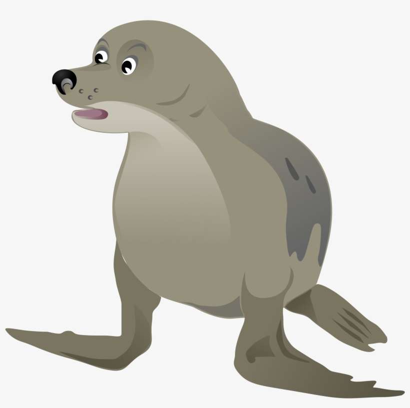 Grey Big Image Png - Clipart Grey Seal, transparent png download