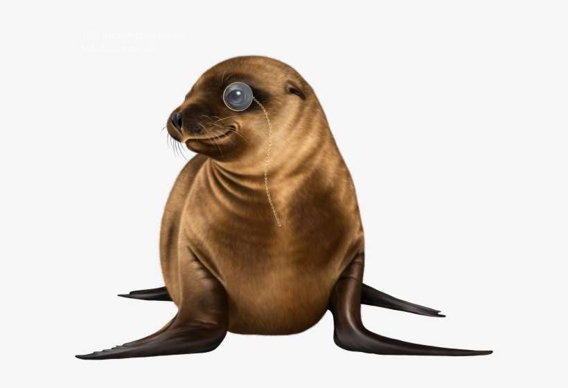 Steampunk Merma - California Sea Lion, transparent png download