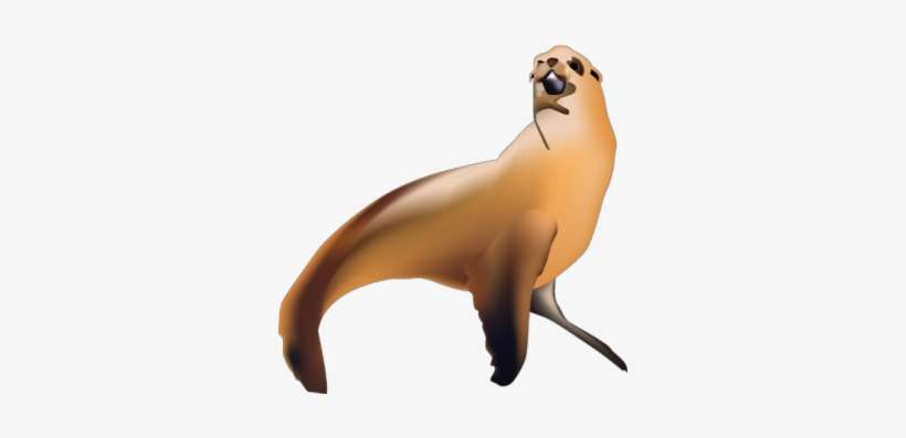 Sea Lion - California Sea Lion, transparent png download