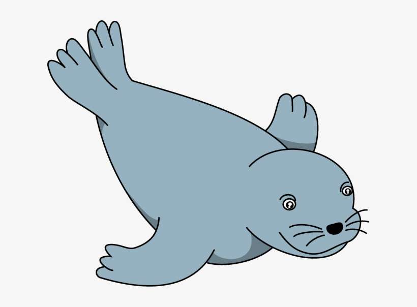 Sea Lion Clip Art - Seal Clipart Png, transparent png download