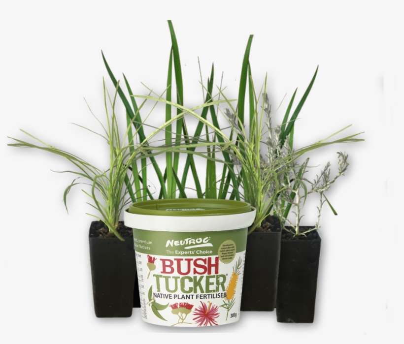 Free Bush Tucker With Plants - Sales, transparent png download