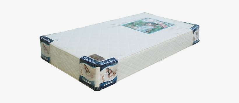 Mulan, transparent png download