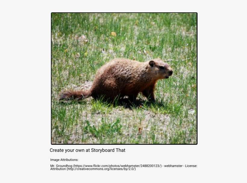 Groundhog - Winter, transparent png download
