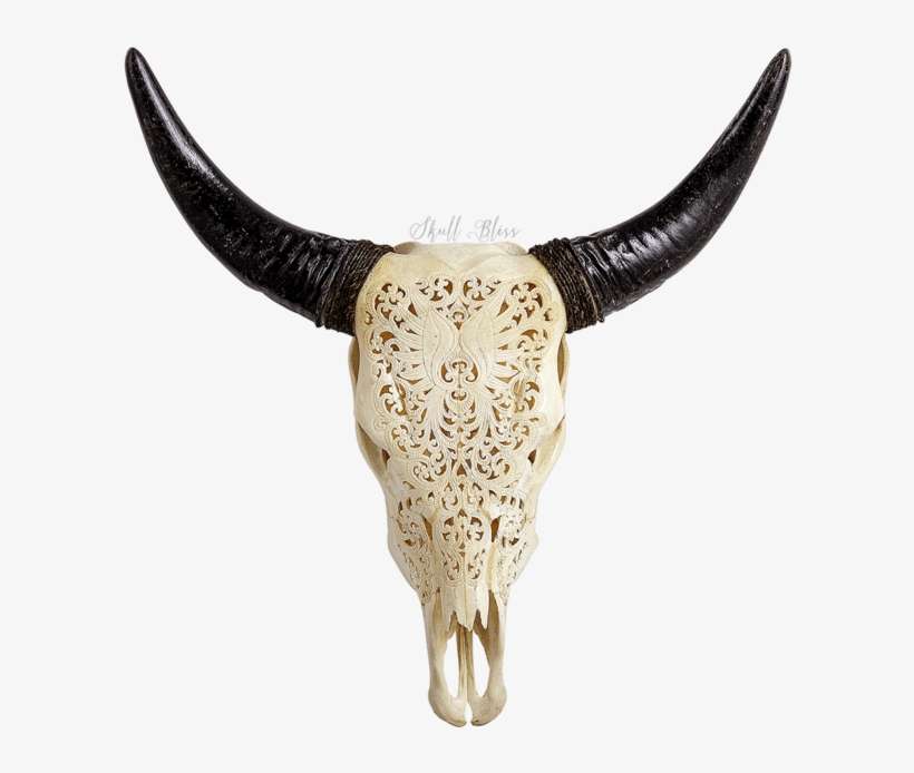 Carved Cow Skull // Xl Horns - Skull, transparent png download