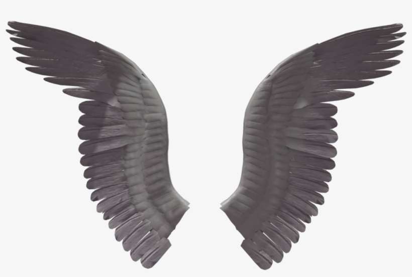 Wings Png Images Free Download - Transparent Real Wings, transparent png download