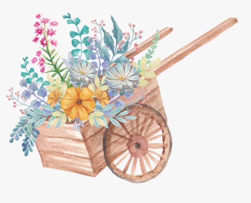 Image Du Blog Zezete2 - Flower, transparent png download