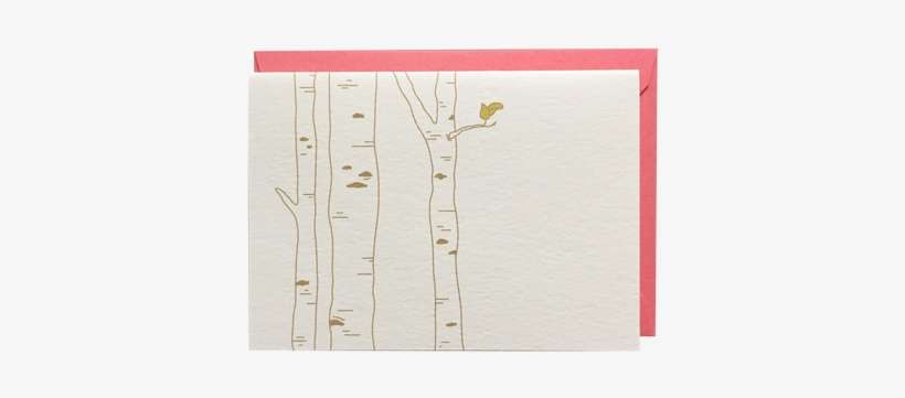 Birch Trees Boxed Greeting Cards - Birch, transparent png download