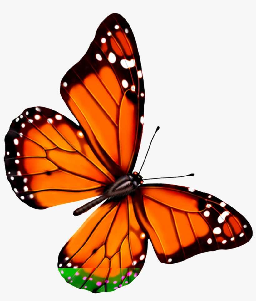 Hd Beautiful Colorful Butterfly Png - Florals Solar Pink Butterfly, Dual (solar / Battery), transparent png download