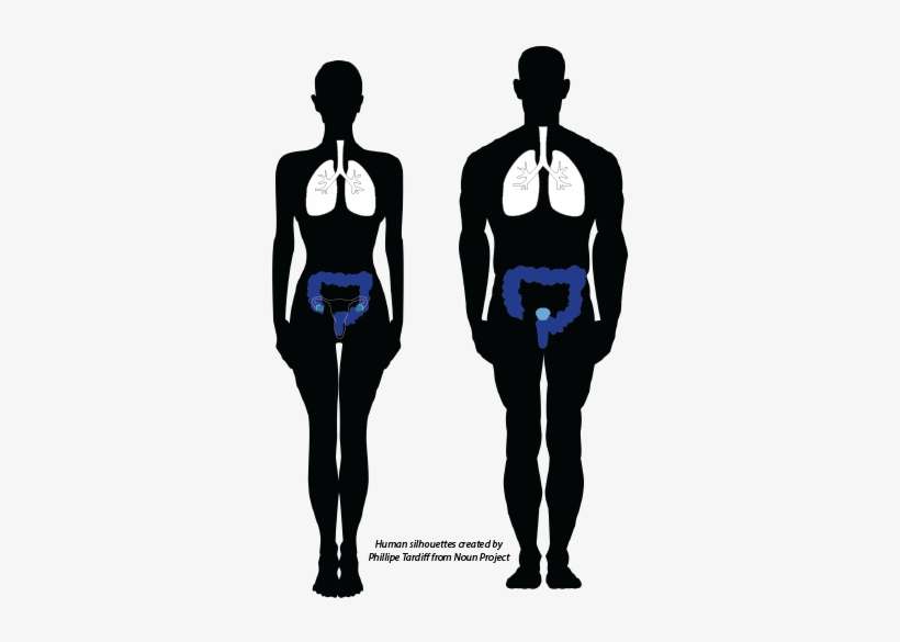 23 Jun - Illustration, transparent png download