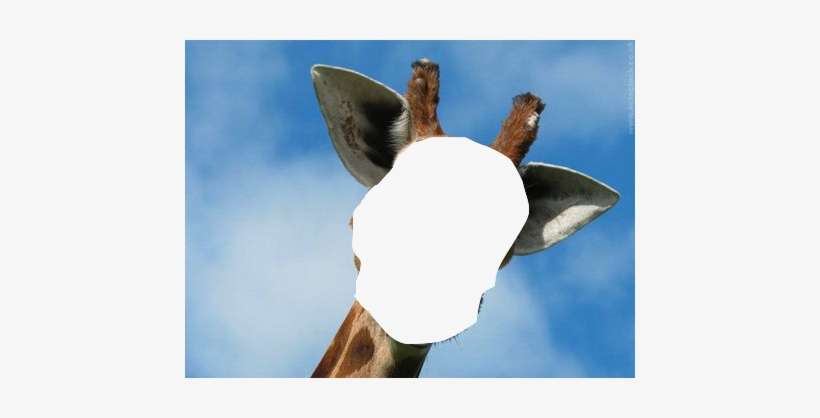 You Can Also Make Funny Pictures Like Cutting Out Someones - Giraffe With Down Syndrome, transparent png download