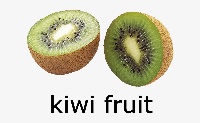 Download Png File 📥 - Kiwi Fruit Picture With Name, transparent png download