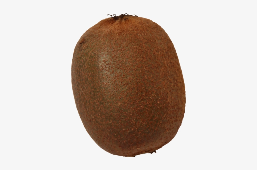 Kiwi - Kiwifruit, transparent png download