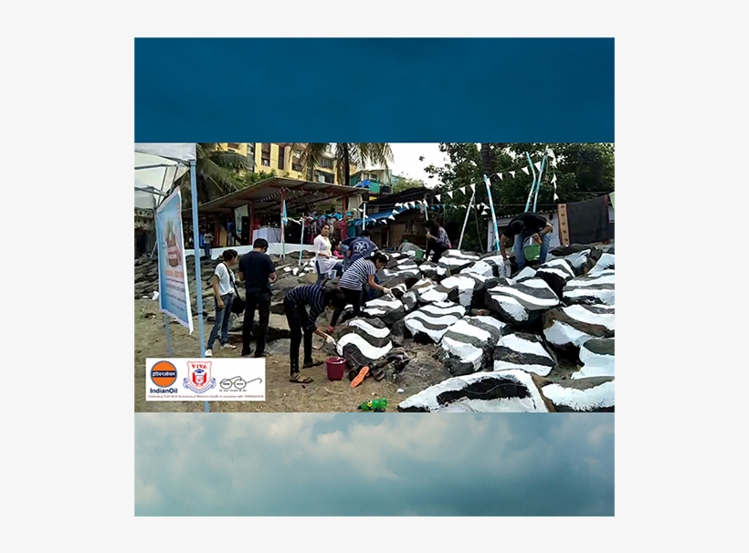 Click To View Images - Giant Clam, transparent png download