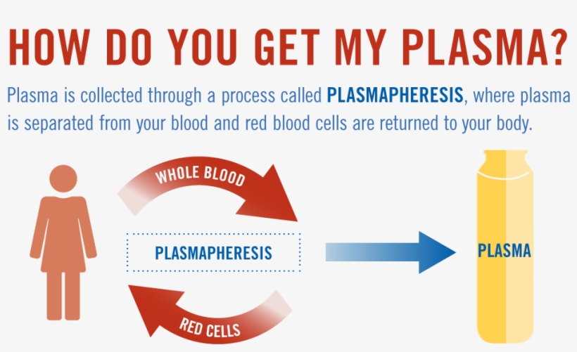 About Plasma Donations - Blood Donation Compensation, transparent png download