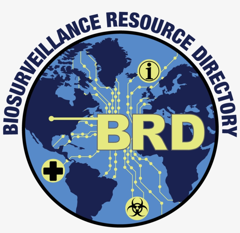 Search - Graphic Design, transparent png download