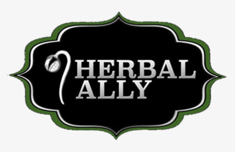 Home Alone 2, transparent png download