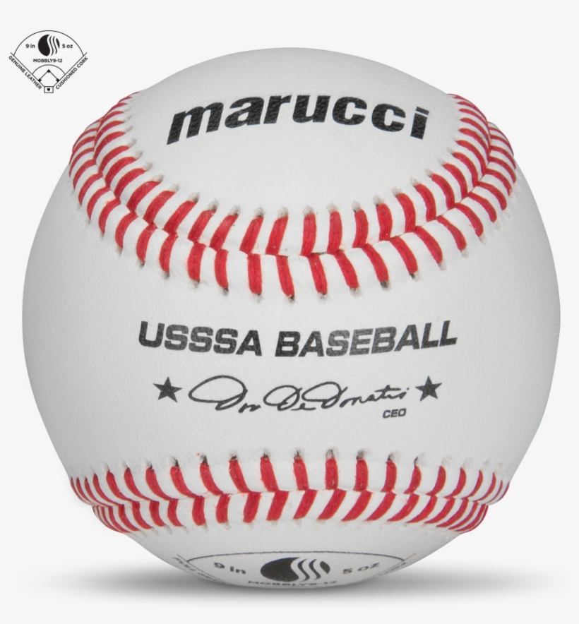 Ted Williams Hof Inscribed Baseball, transparent png download