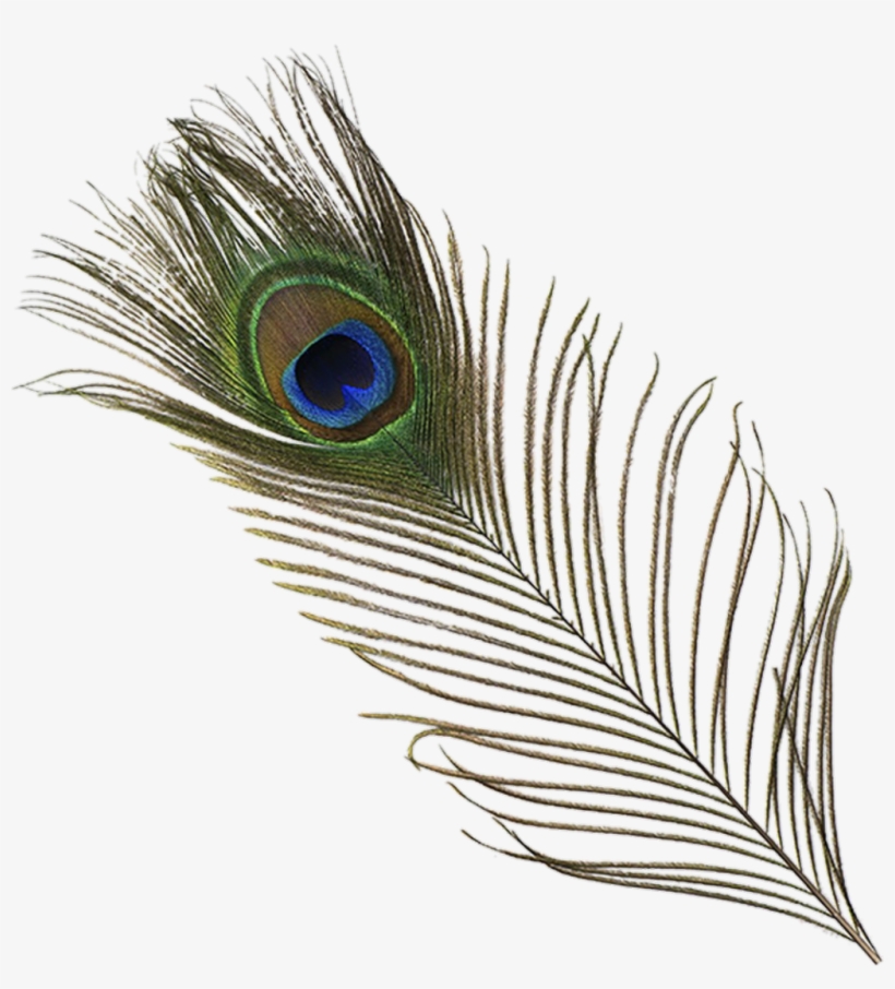 Origftesticker Sticker - Mor Pankh, transparent png download