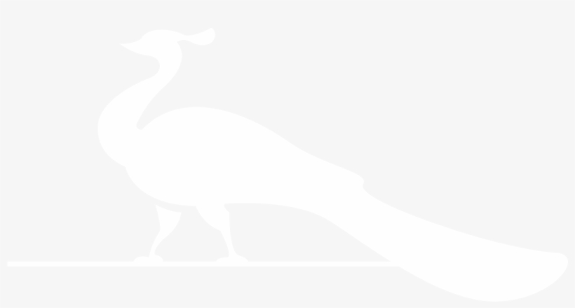 Stay Updated - Illustration, transparent png download