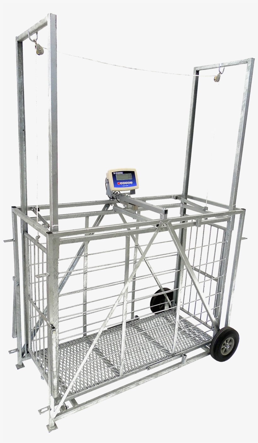 Weigh Fast And Accurate With Our New Digital Weighing - Shelf, transparent png download