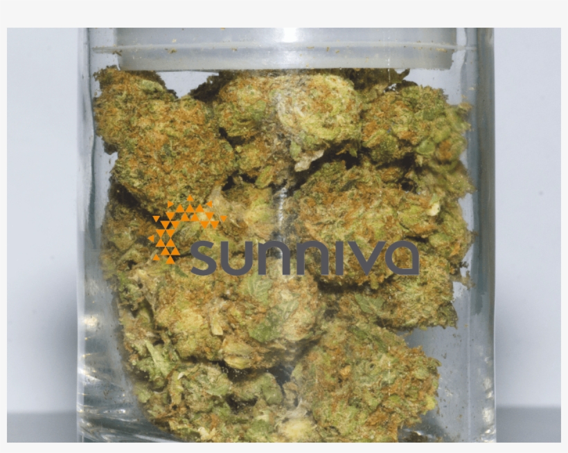 0 - Deutsch Weed, transparent png download