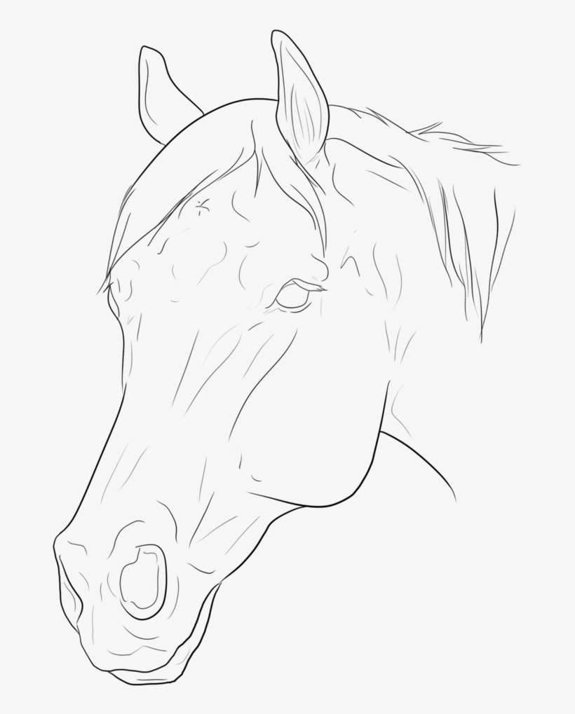 Collection Of Free Horses Download On Ubisafe - Sketch, transparent png download