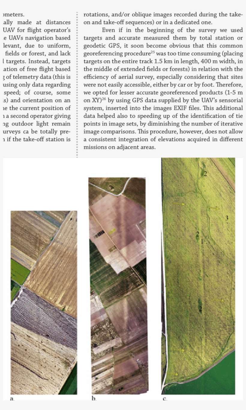 Examples Of Aerial Field Marks For The Limes Transalutanus - Canoe Birch, transparent png download