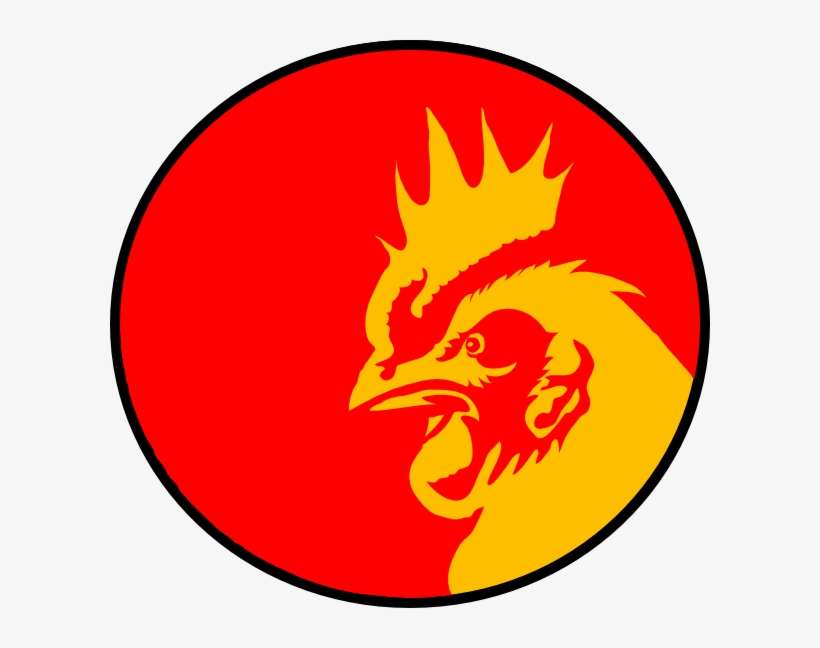 Rooster, transparent png download