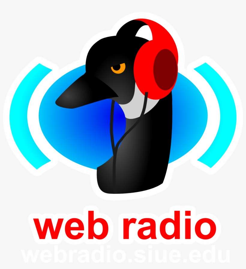 Tune In - Wood Duck, transparent png download