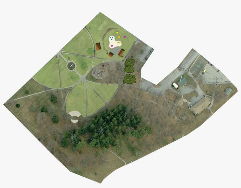 Grass, transparent png download