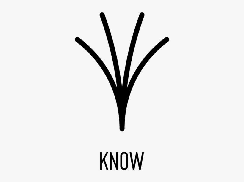 Icon 1 Know Black - Line Art, transparent png download